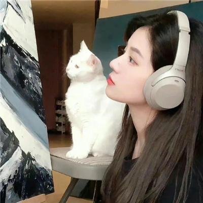 学校的墙不见了